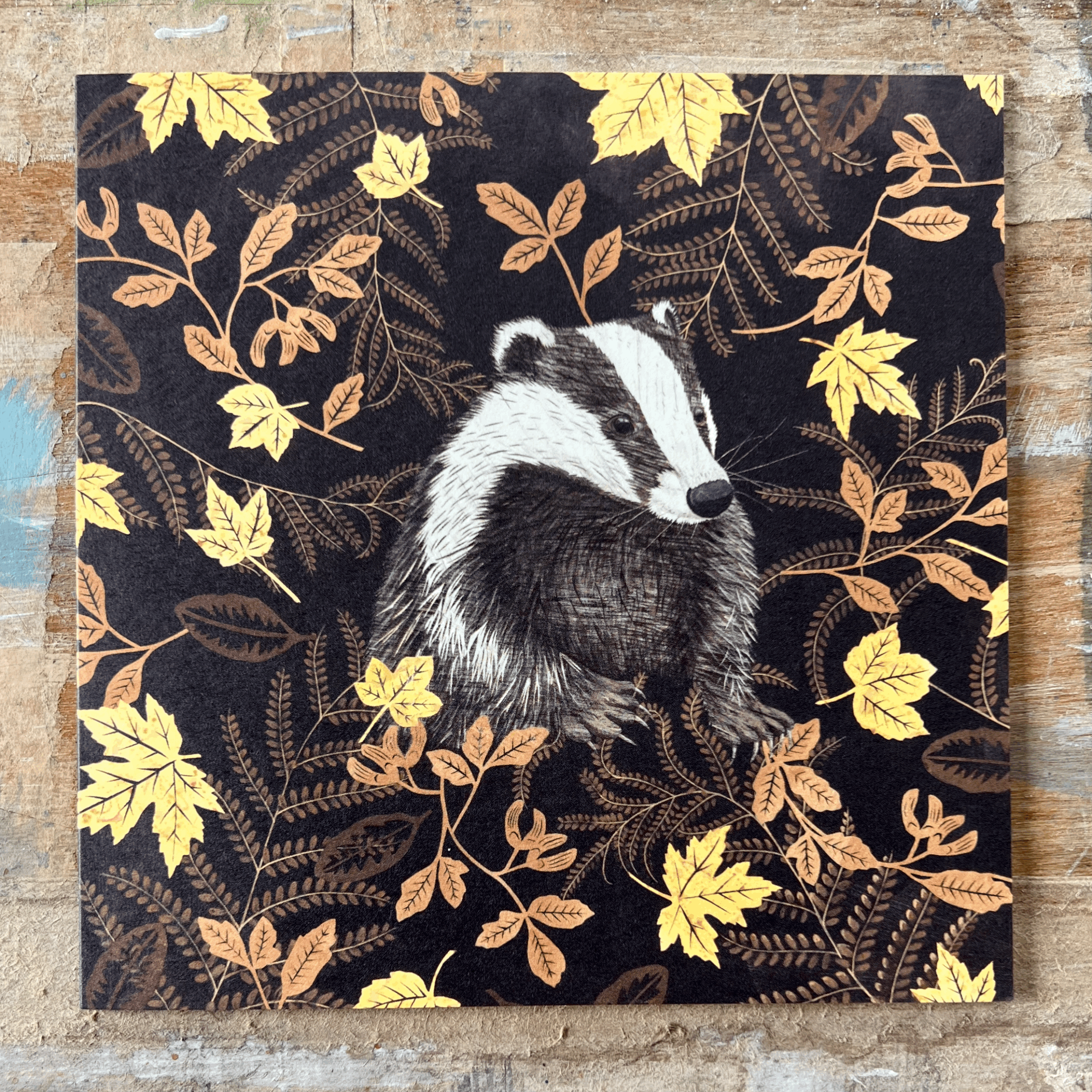 Mr Badger