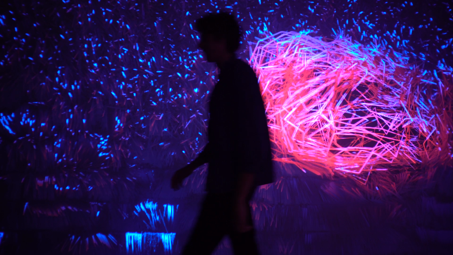 WP_Still_005.png