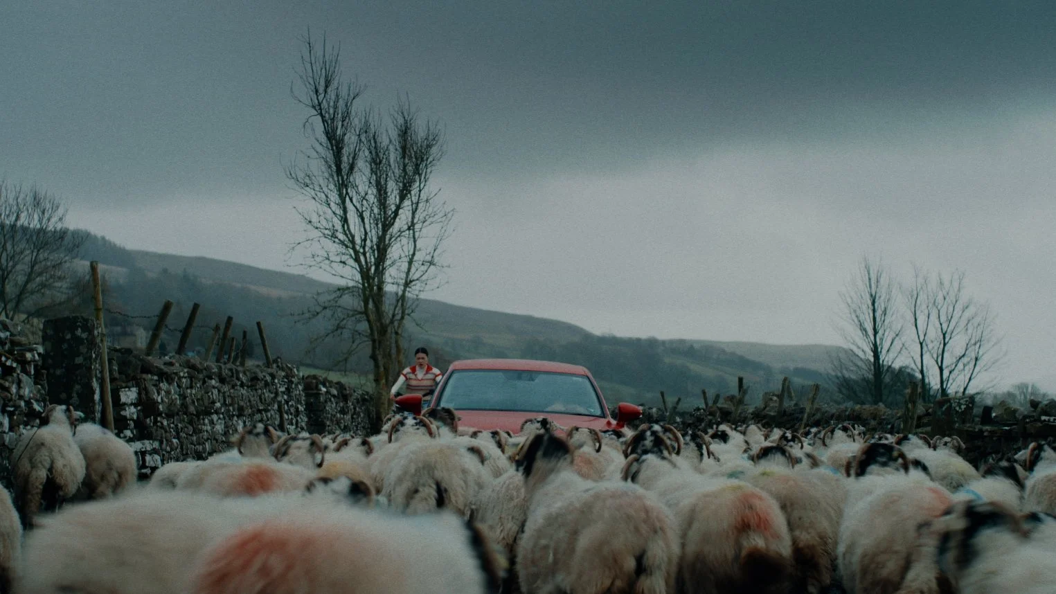 2. High Wire_Go-wing and Yorkshire.jpeg