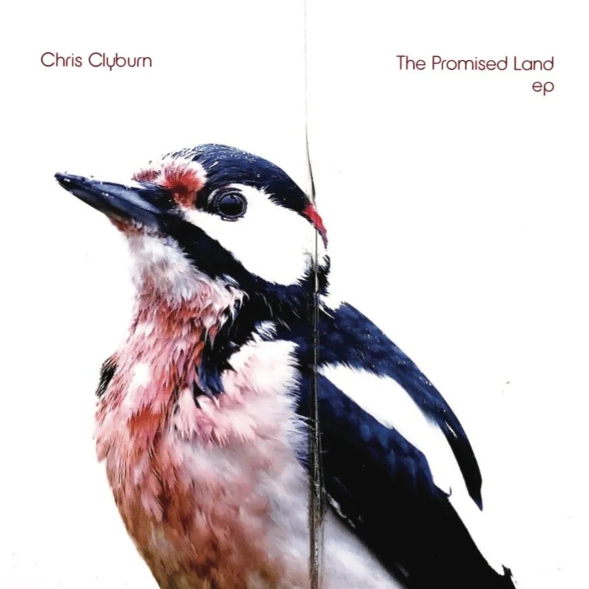 Promsied Land - Cover.jpeg