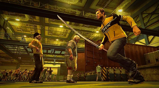 DR2_CW_Image5.jpg