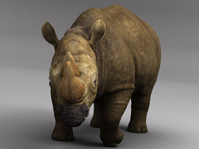 Rhino4.jpg