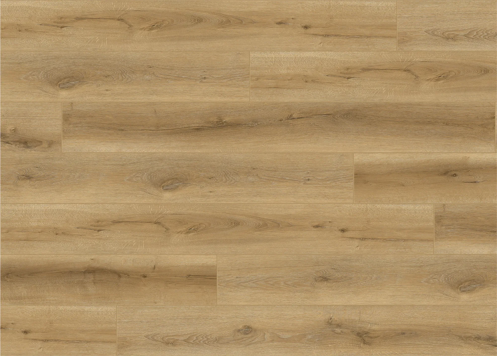 Hill Country Honey (1).webp