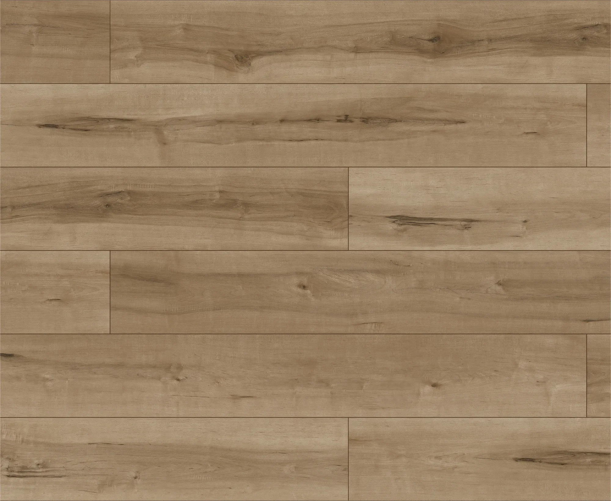 Mesquite Mirage (1).webp