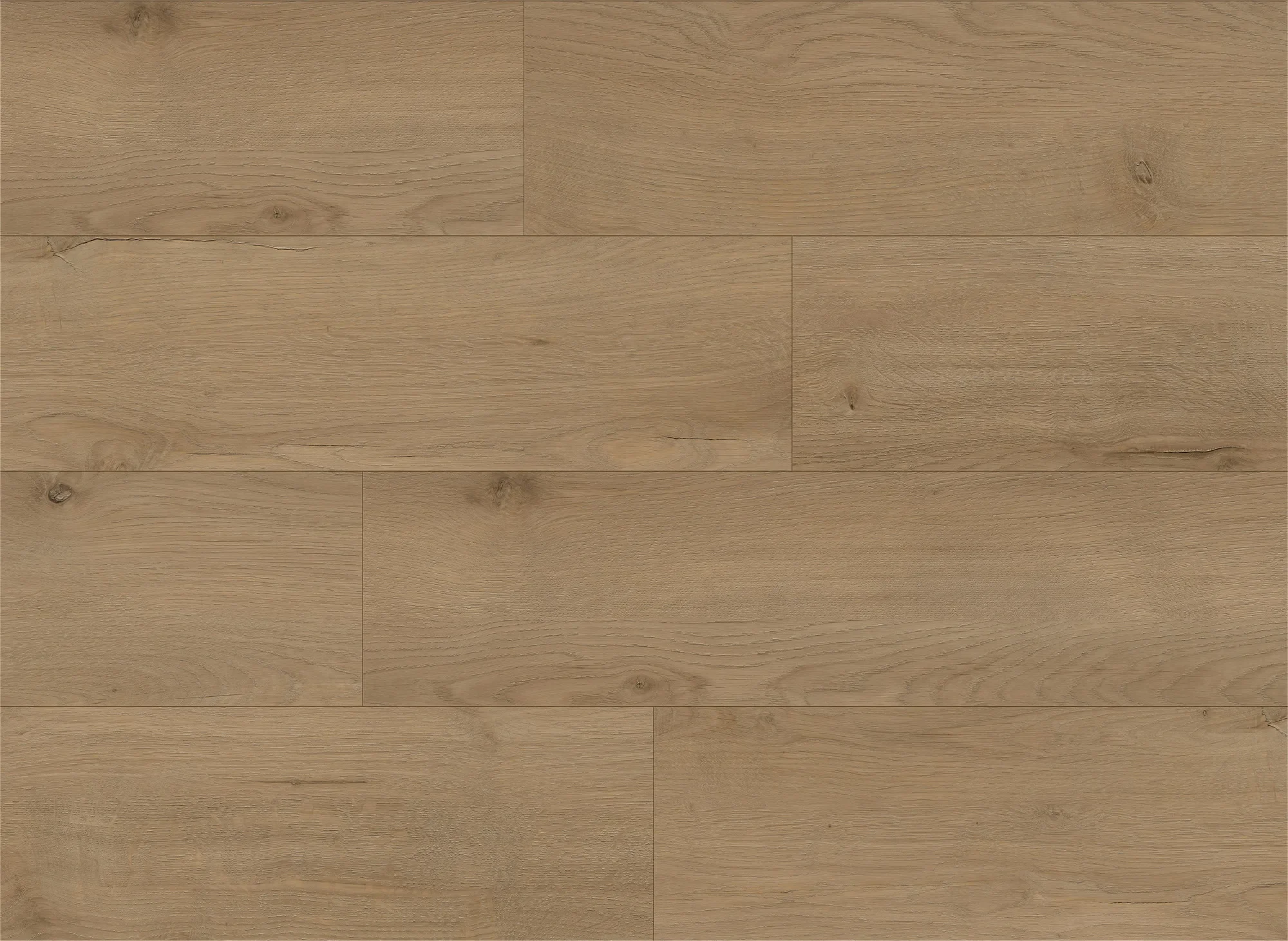 Sundance Rodeo (1).webp