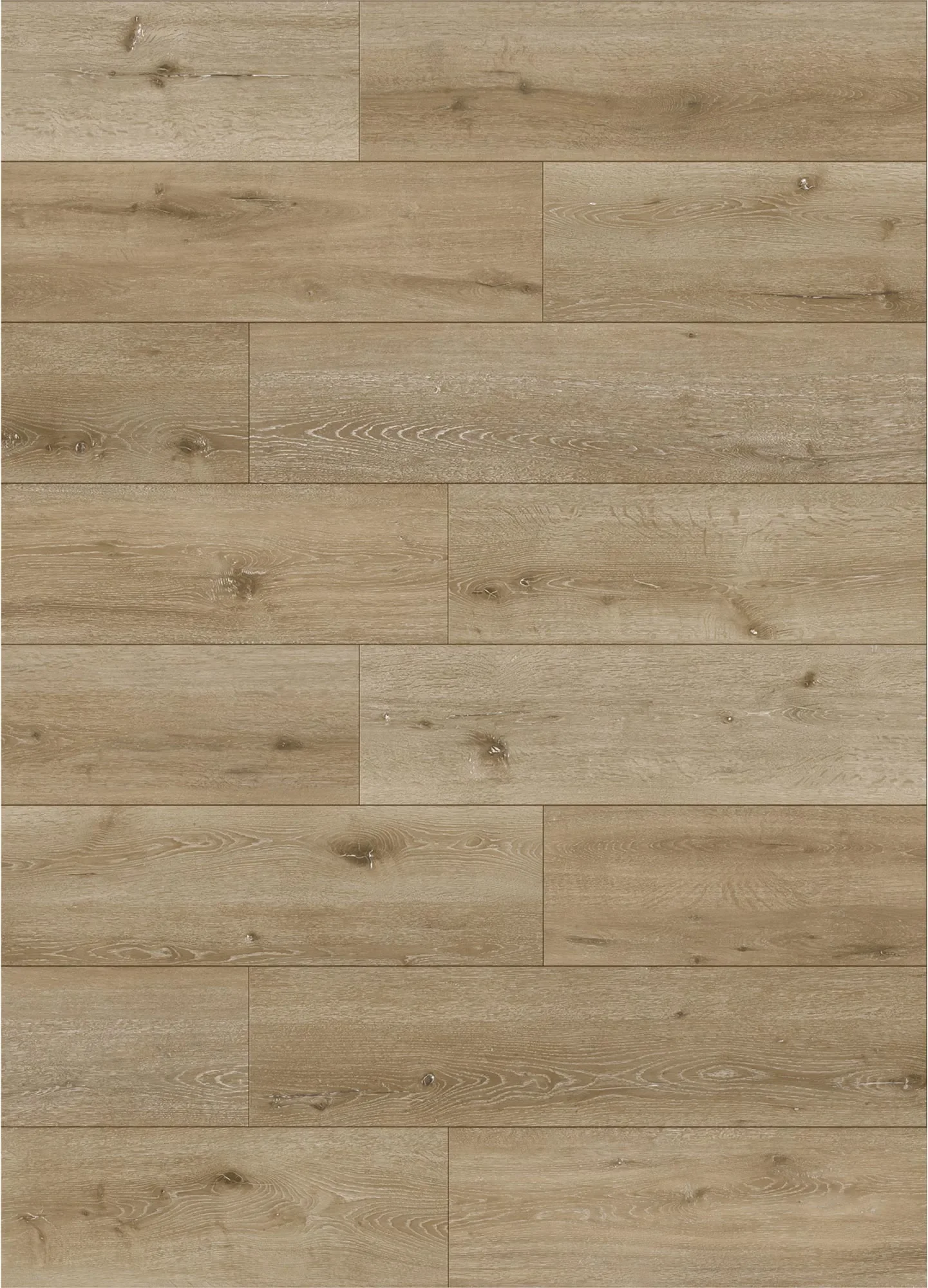 Laredo Limestone (1).webp