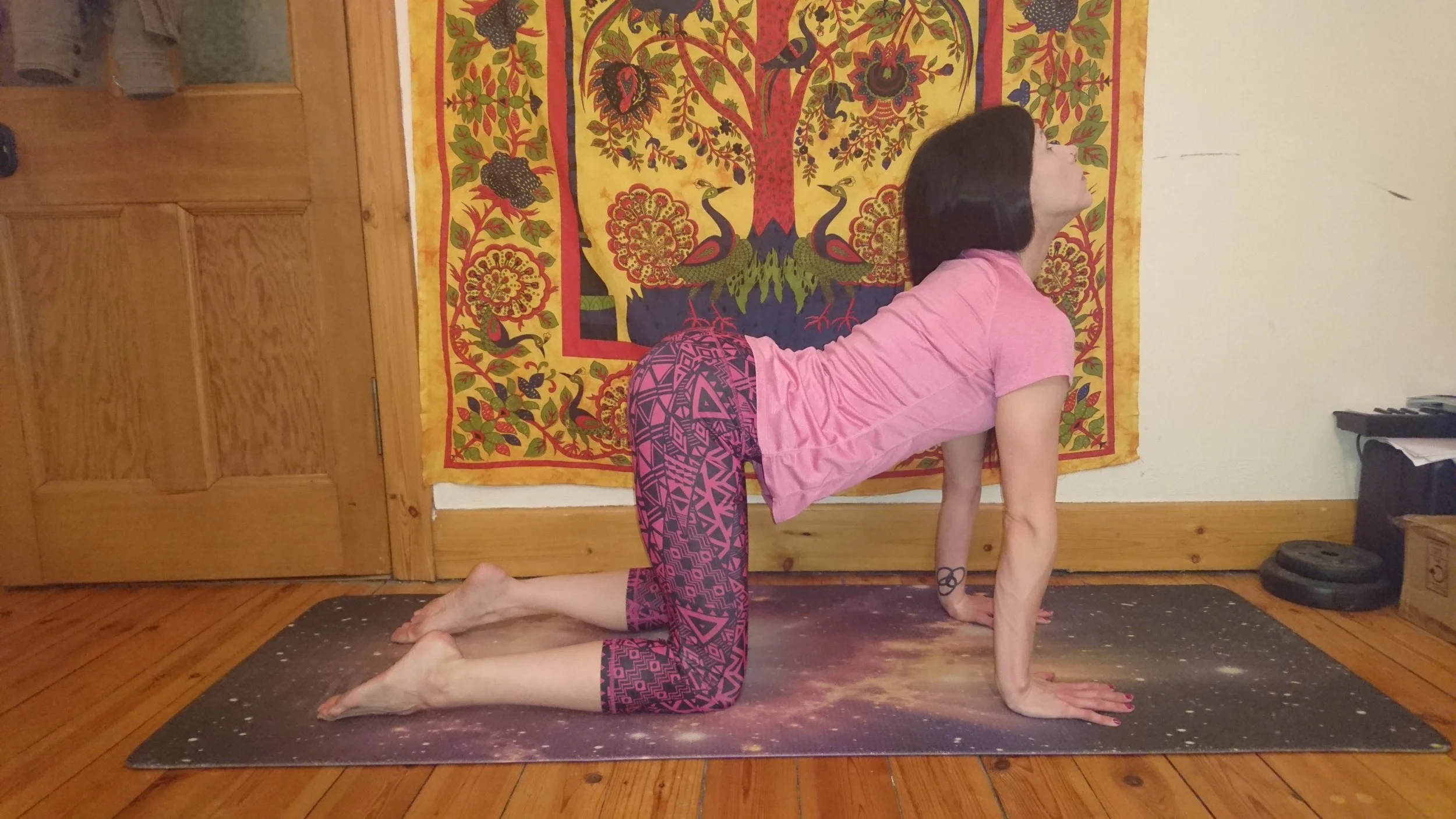 Cow Pose
