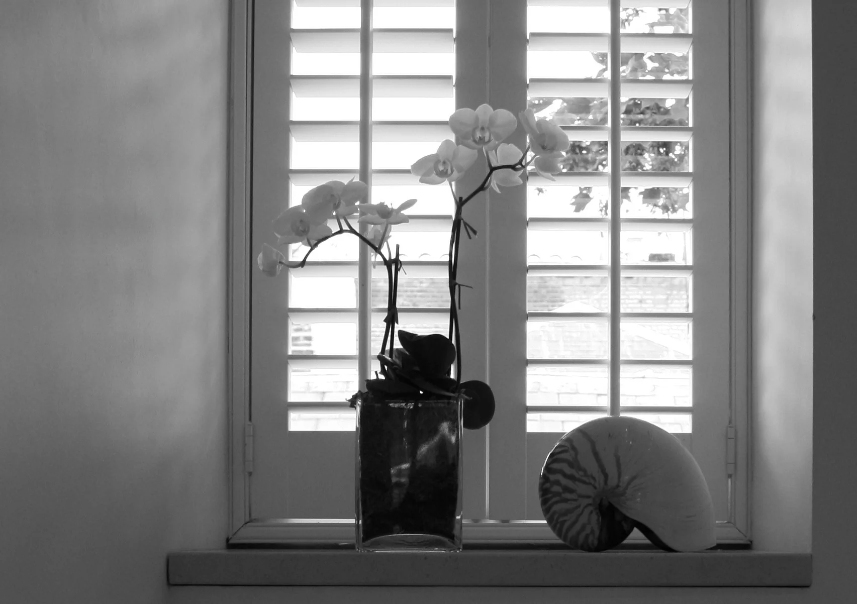  Window detail 