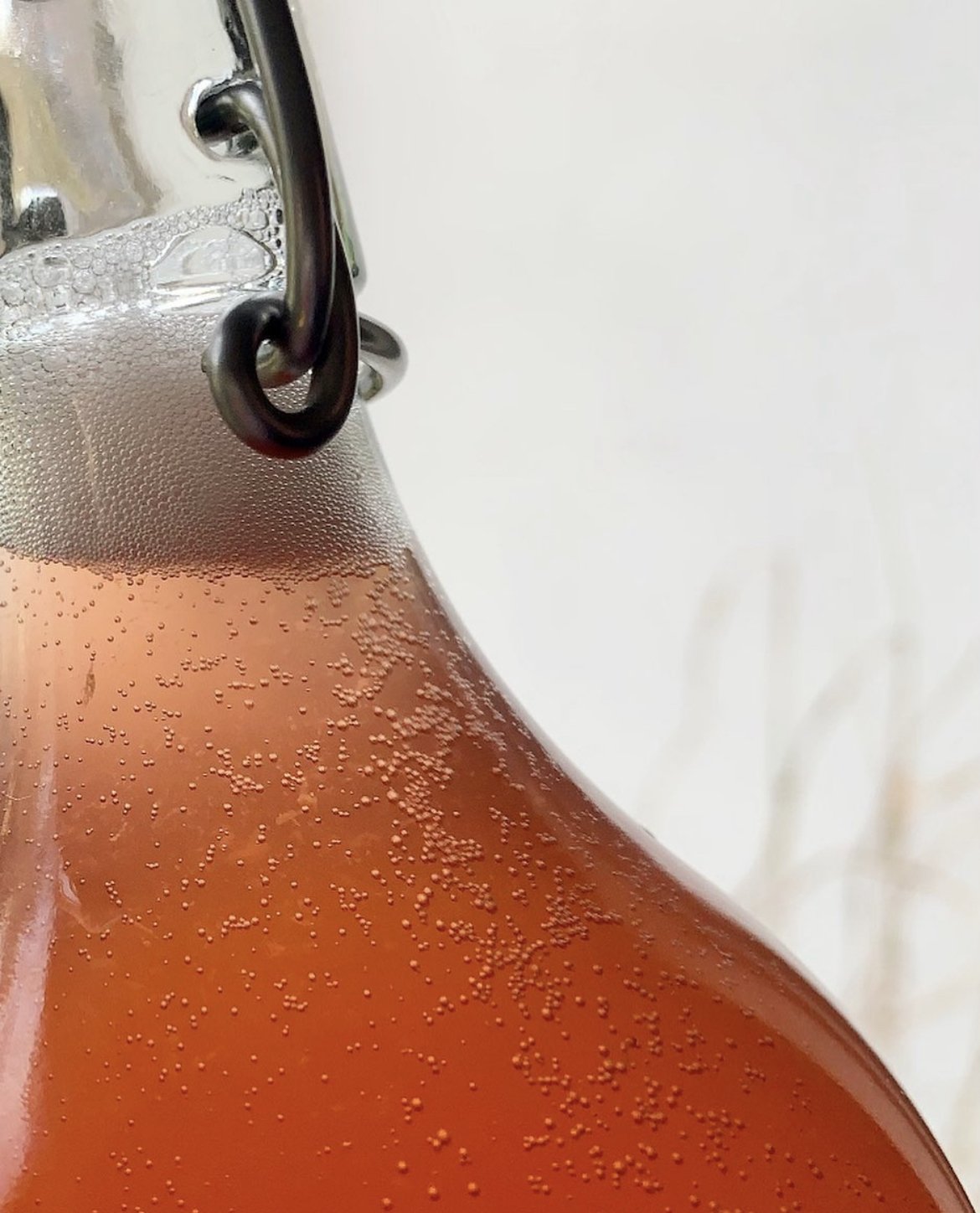 KOMBUCHA FERMENTATION MASTERCLASS & SUPPER