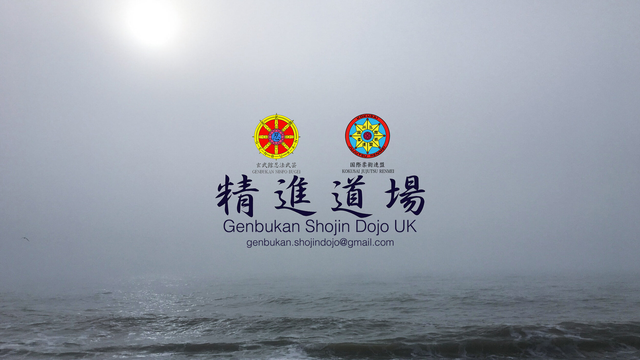 browser ready HP 3.jpg