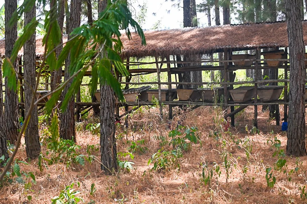 TYPICAL SHELTER FOR THE HIVES