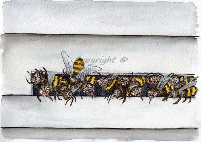 Manacing guard bees.jpg