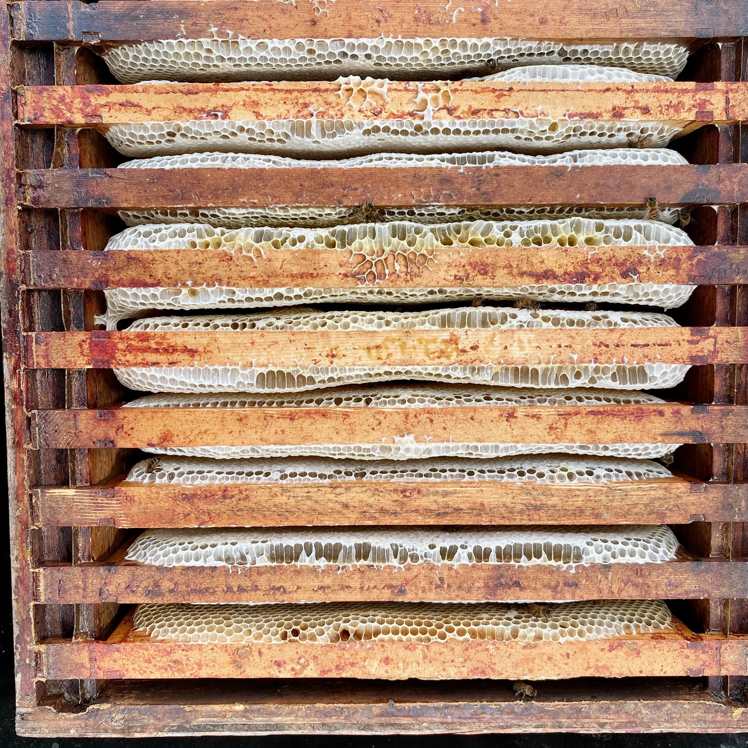 Frames ready to extract