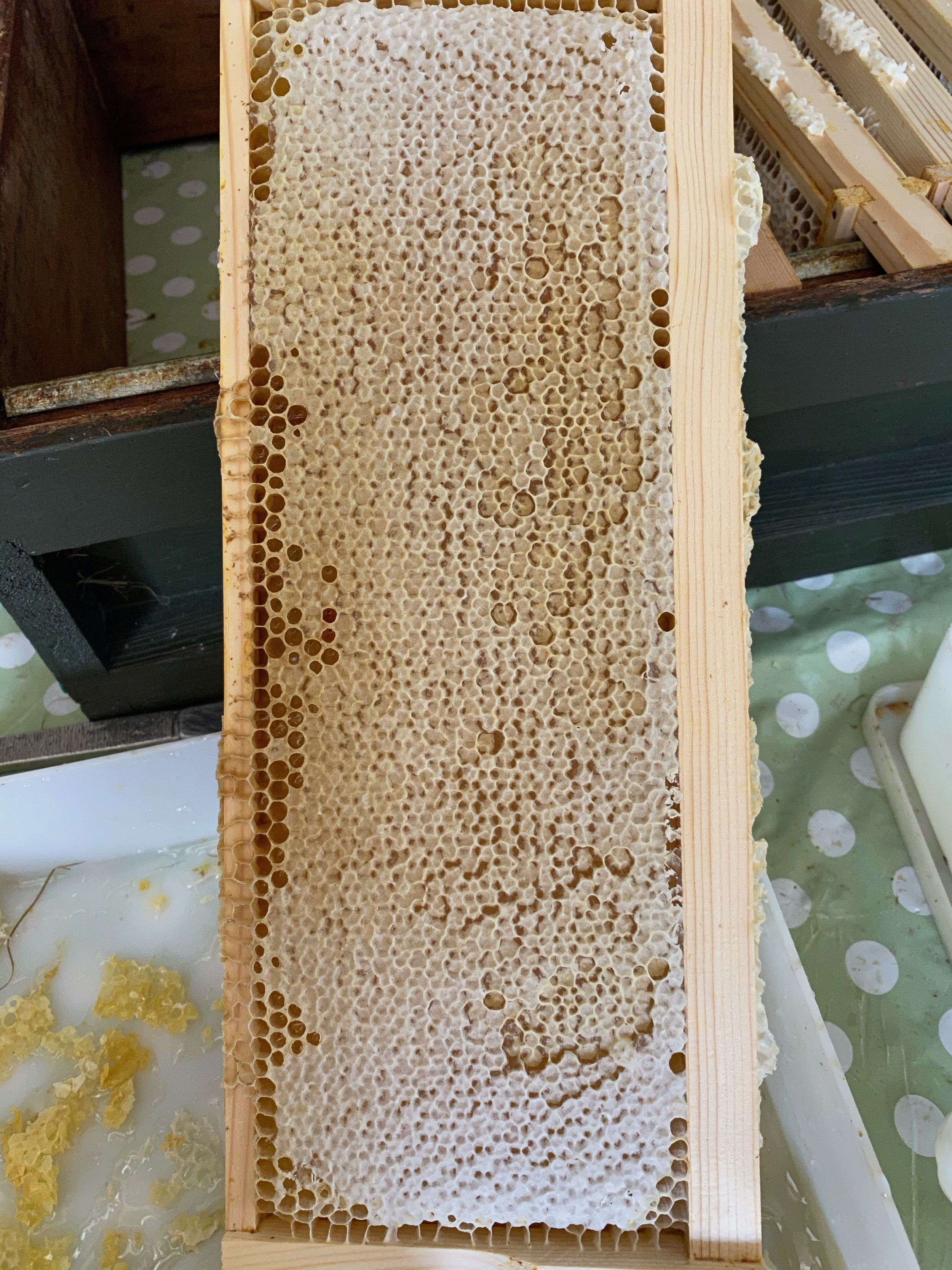 Frame with wax cappings