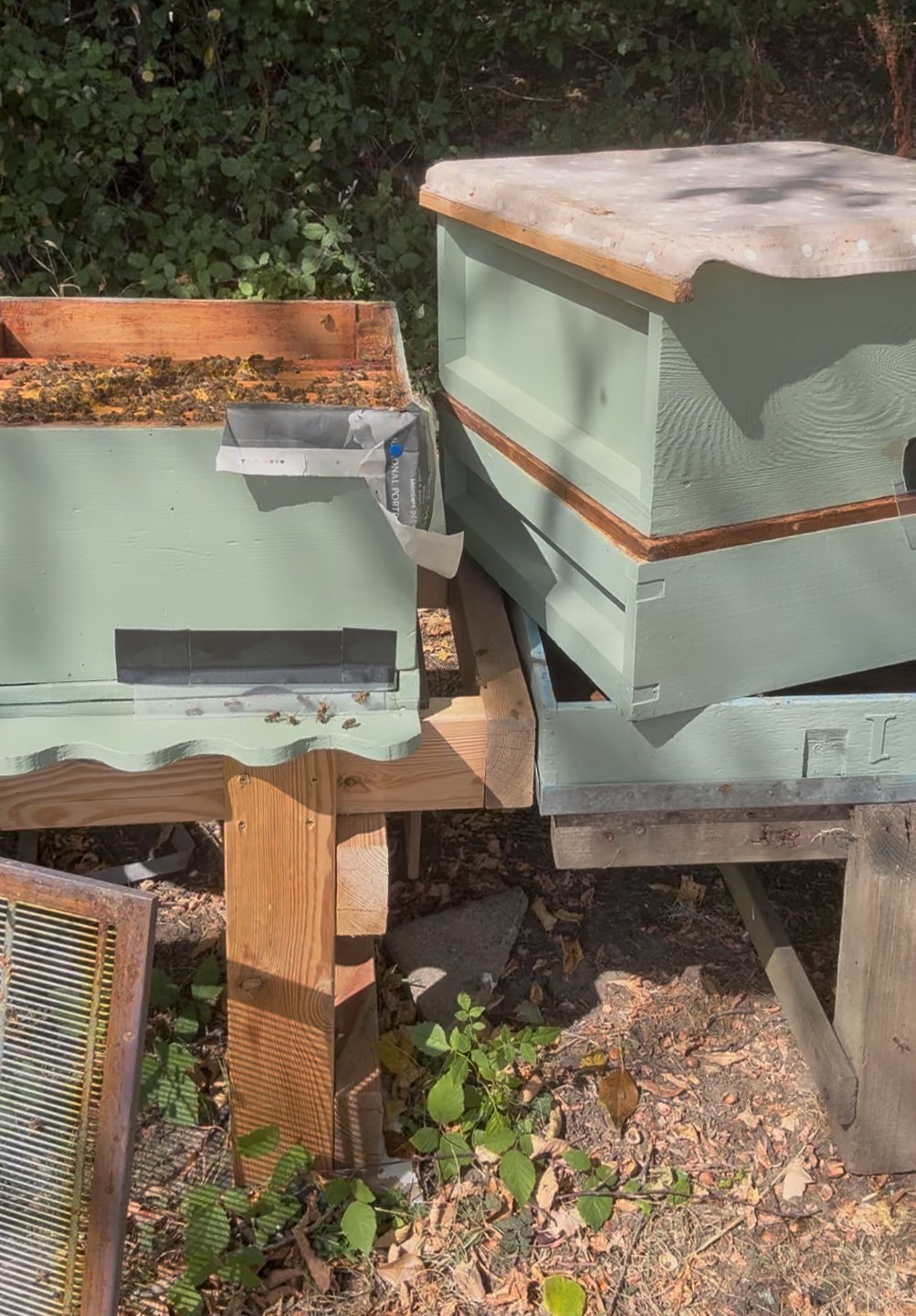 UNITING THE HIVES