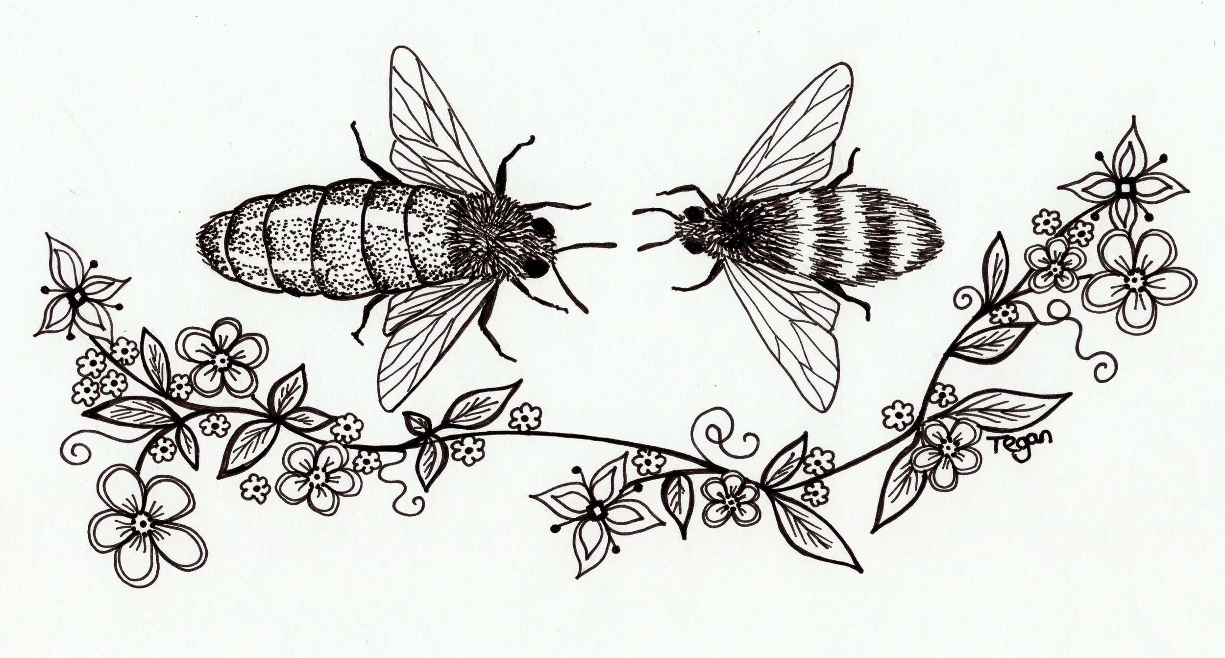 43   Queen bee and worker chapt 37.JPG