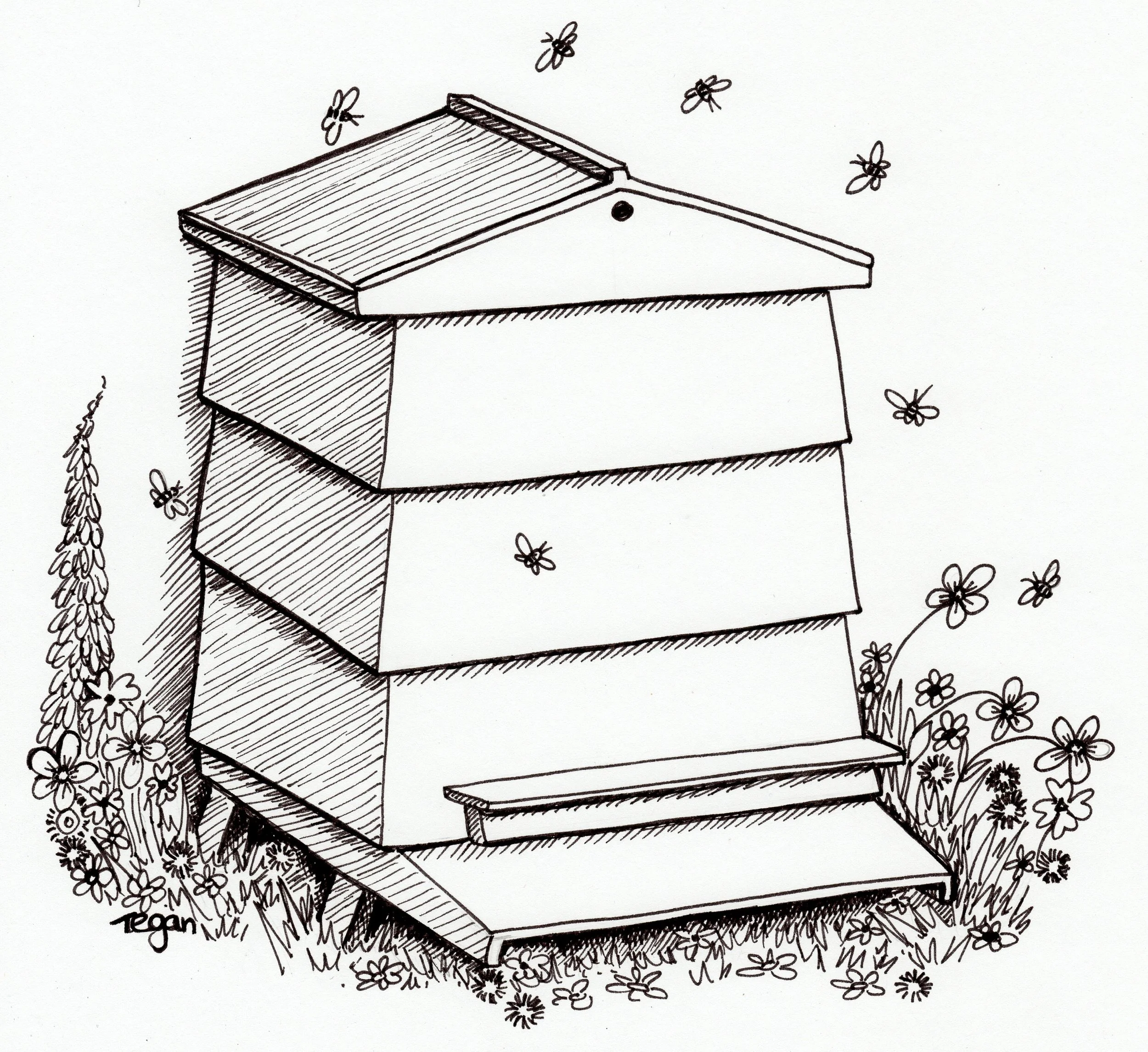 11   WBC Hive chapt.7 .JPG