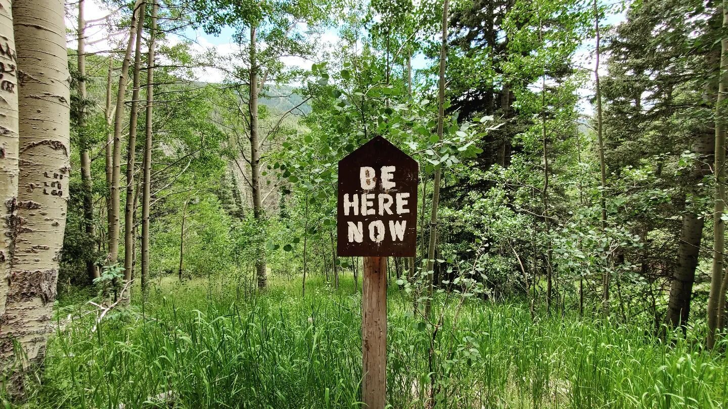 Feeling personally attacked by this sign. 

I'm tryin', okay?

#hiking #bepresent #awareness #mentalhealth