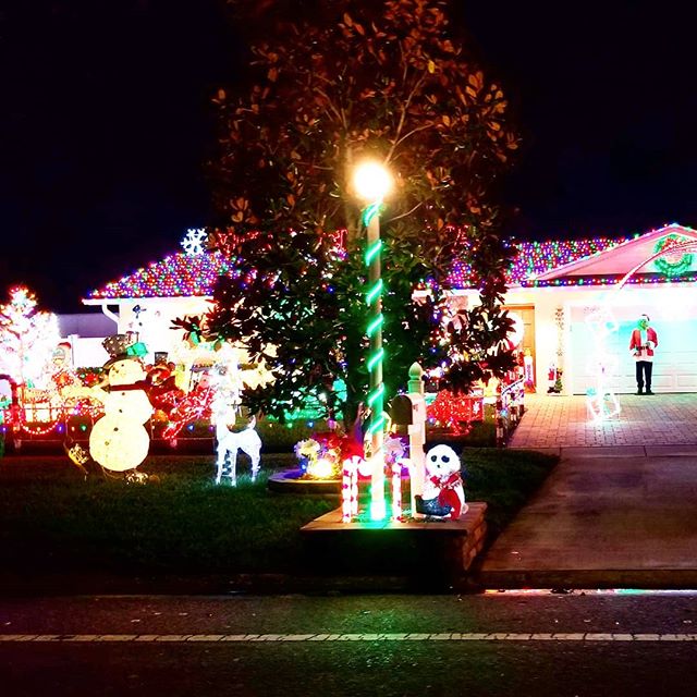 I don't envy his electric bill #christmasspirit🎄 #lit #holidaycheer #fpl #itsthemostwonderfultimeoftheyear🎄❄️☃️🎅