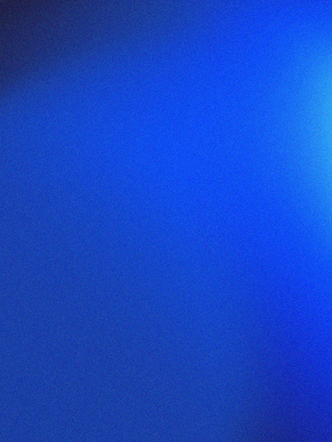bg.png