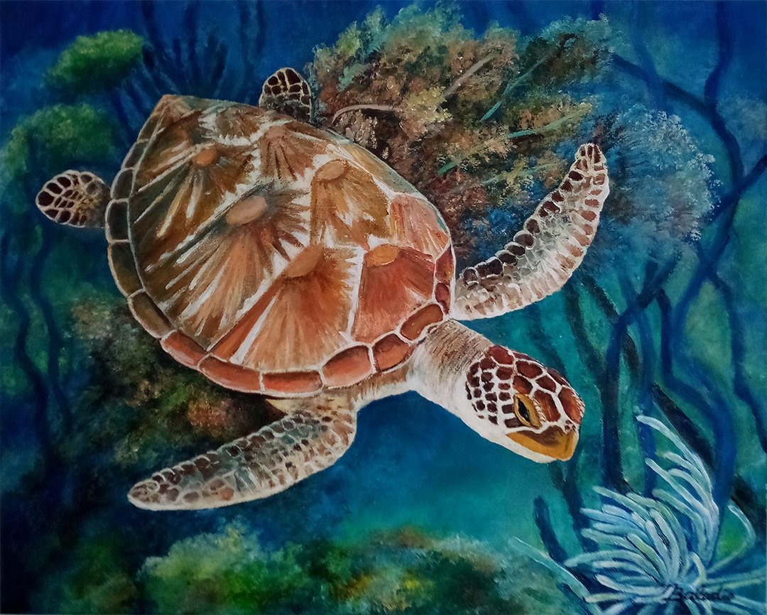 SUBMISSION: Sea Turtle in Reef © 2021 Mara Balodis — Art4Apes