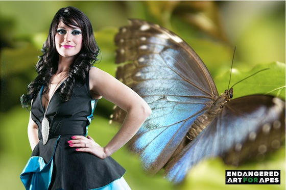 Blue-Morpho-Butterfly.jpeg