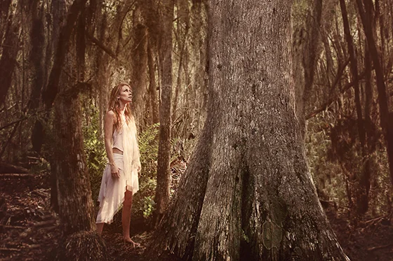 ID379099-Last-of-the-old-Cypress-Durga-Garcia.jpg