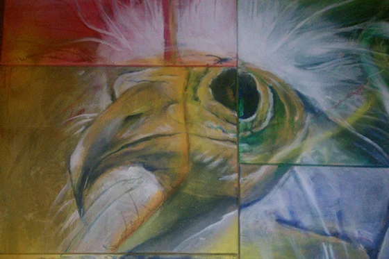 ID369604-Pharaohs-Chicken-Loxodonta-Jeffery-Smith.jpg