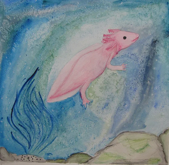 WEB_YA_ID475315-AXOLOTL-Alien-of-the-Lake-Olivia-Ranes.jpg