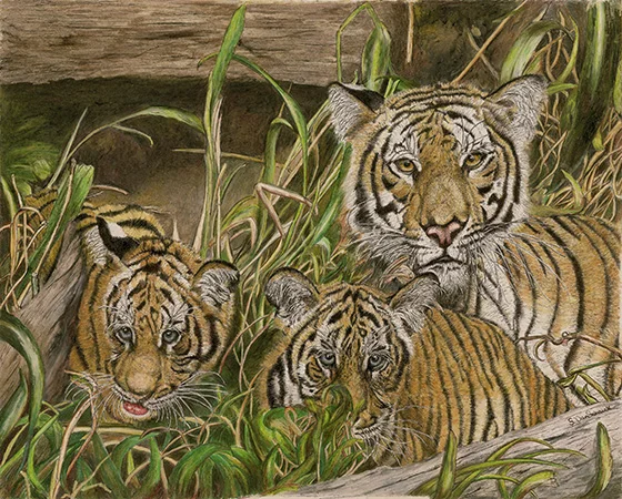 WEB_FA_ID520283-Staying-Alive-Sherri-VanSchaick.jpg