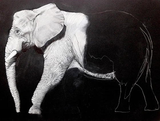 WEB_FA_ID520397-Vanishing-Species-Joel-Sobelson.jpg