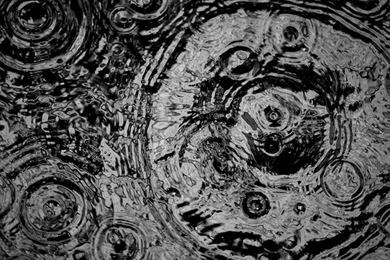 WEB_P_ID520734-Ripples-Colleen-Provost.jpg