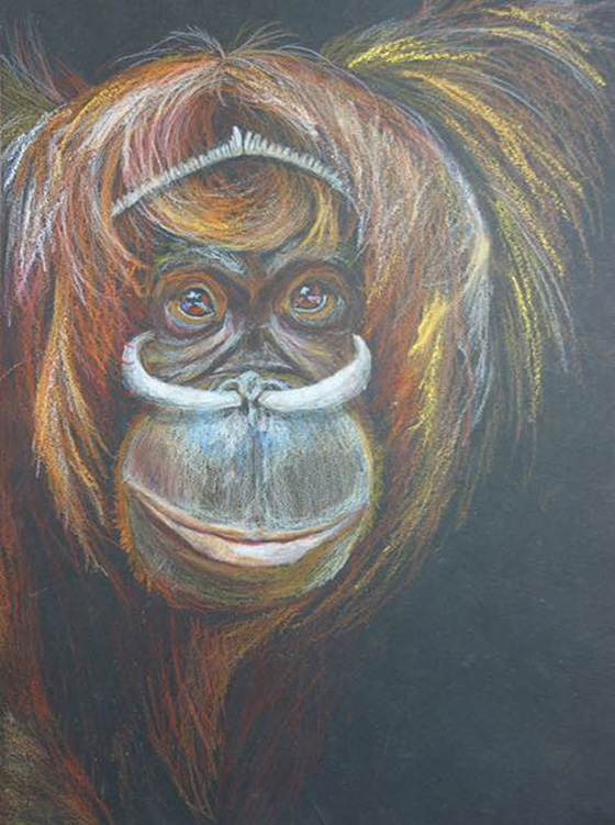 WEB_YA_ID520574-Orangutan-of-a-West-Papua-New-Guinea-tribe-Karson-Schenk.jpg