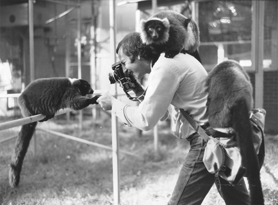 Ted Schiffman with Variegated Lemurs at the Duke University Primate Center prior to his assignment in Madagascar for GEO magazine