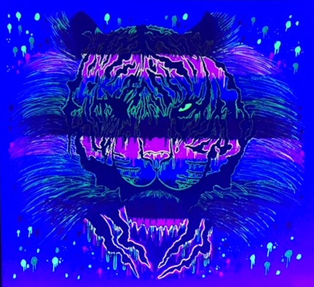Eye Of Tiger © 2018 Corbyn Jones | All Rights Reserved