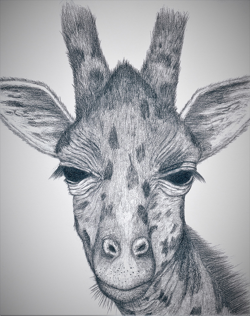 Gerald © 2018 John April | All Rights Reserved