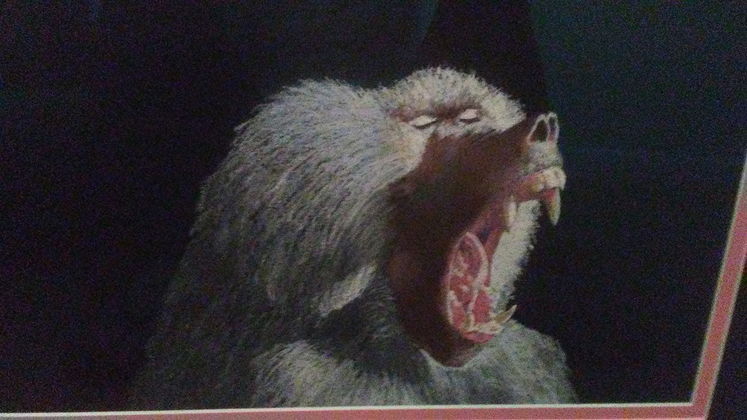 What Big Teeth You Have © 2018 Debra Herndon | All Rights Reserved