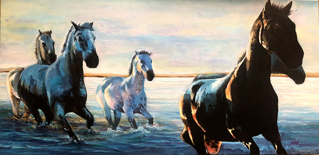 Wild Horses © 2018 Anthony Salemme | All Rights Reserved