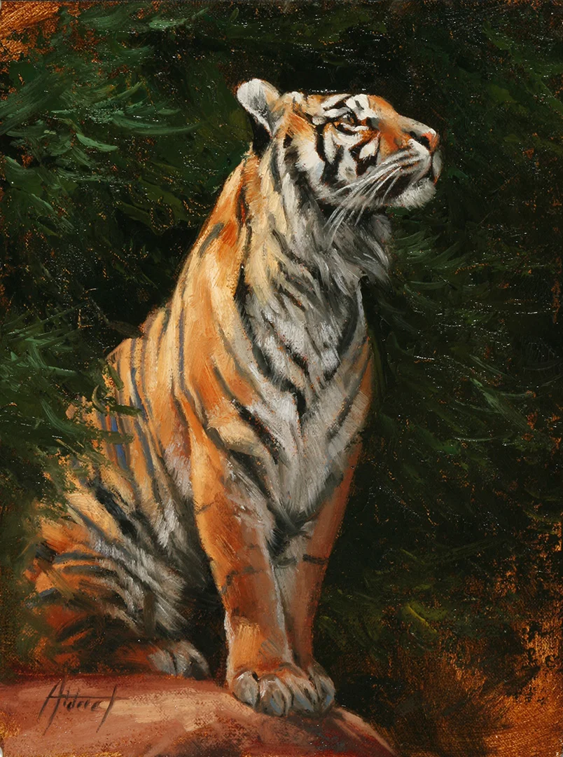 Sumatran © 2018 Edward Aldrich | All Rights Reserved