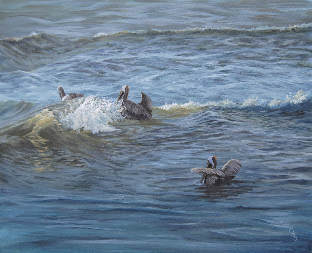 Morning Swim © 2018 Carol-Ann Salley | All Rights Reserved