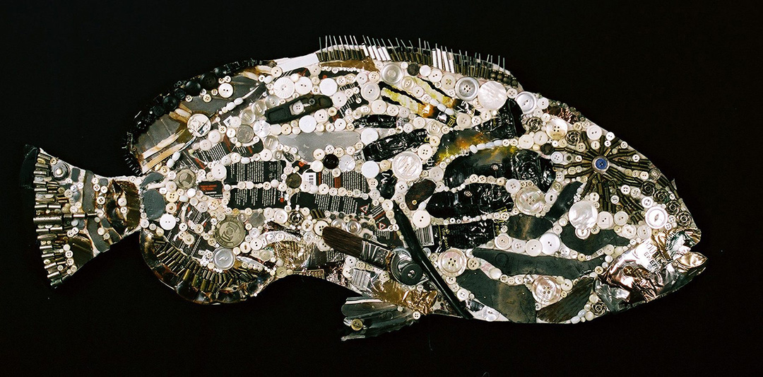 Black Grouper © 2018 Sarah Schneiderman | All Rights Reserved