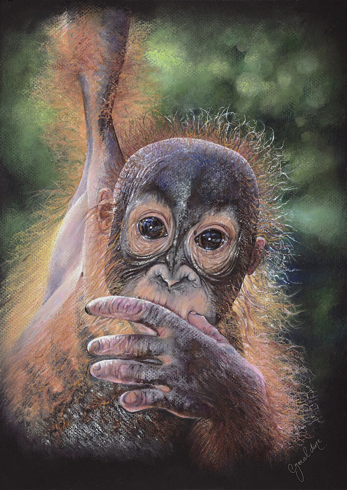 Hanging On For Dear Life. Pastels. © 2020 Geraldine Simmons.  All Rights Reserved.