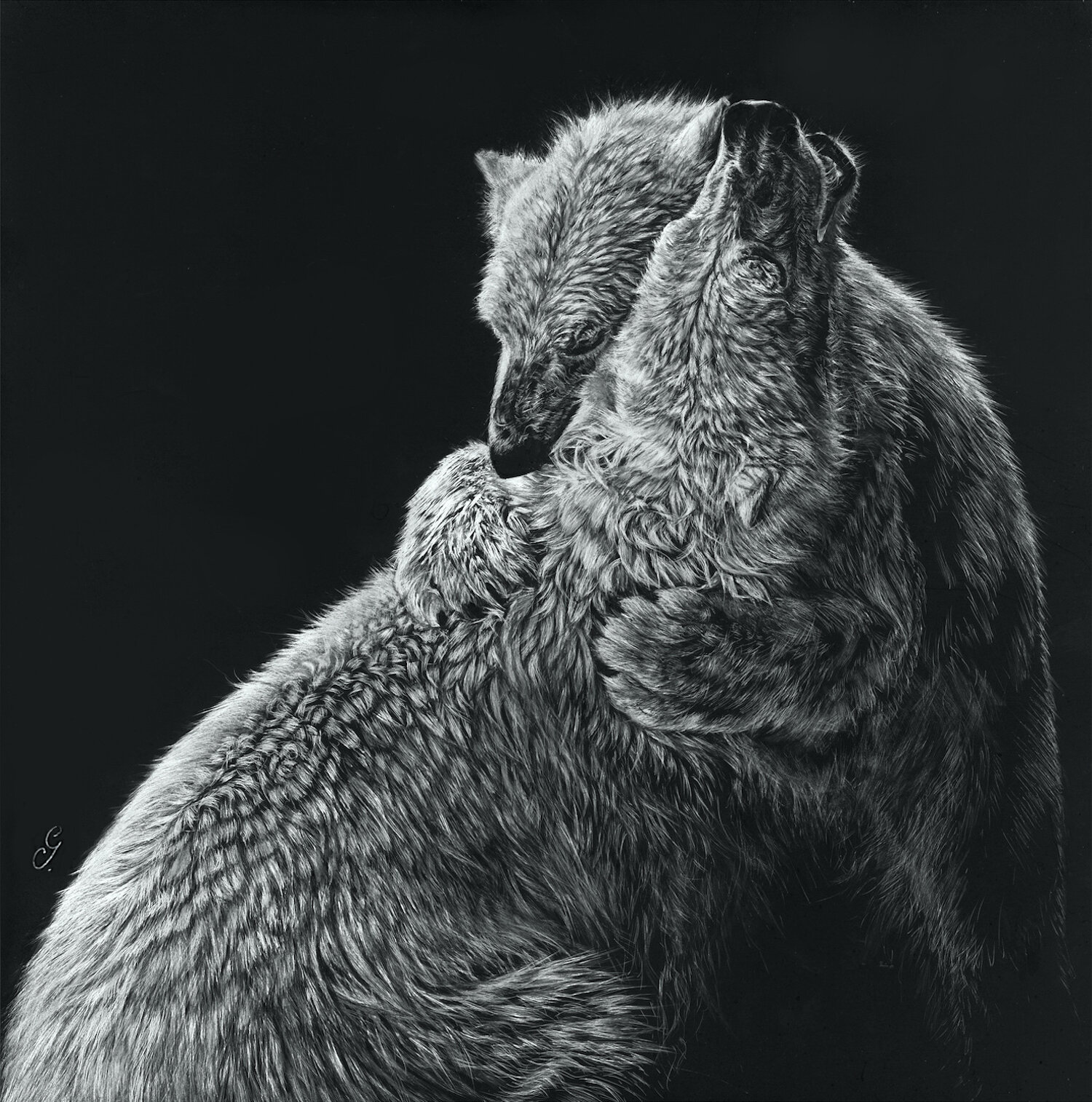 Bear Hug. Scratchboard. © 2020 Geraldine Simmons.  All Rights Reserved.