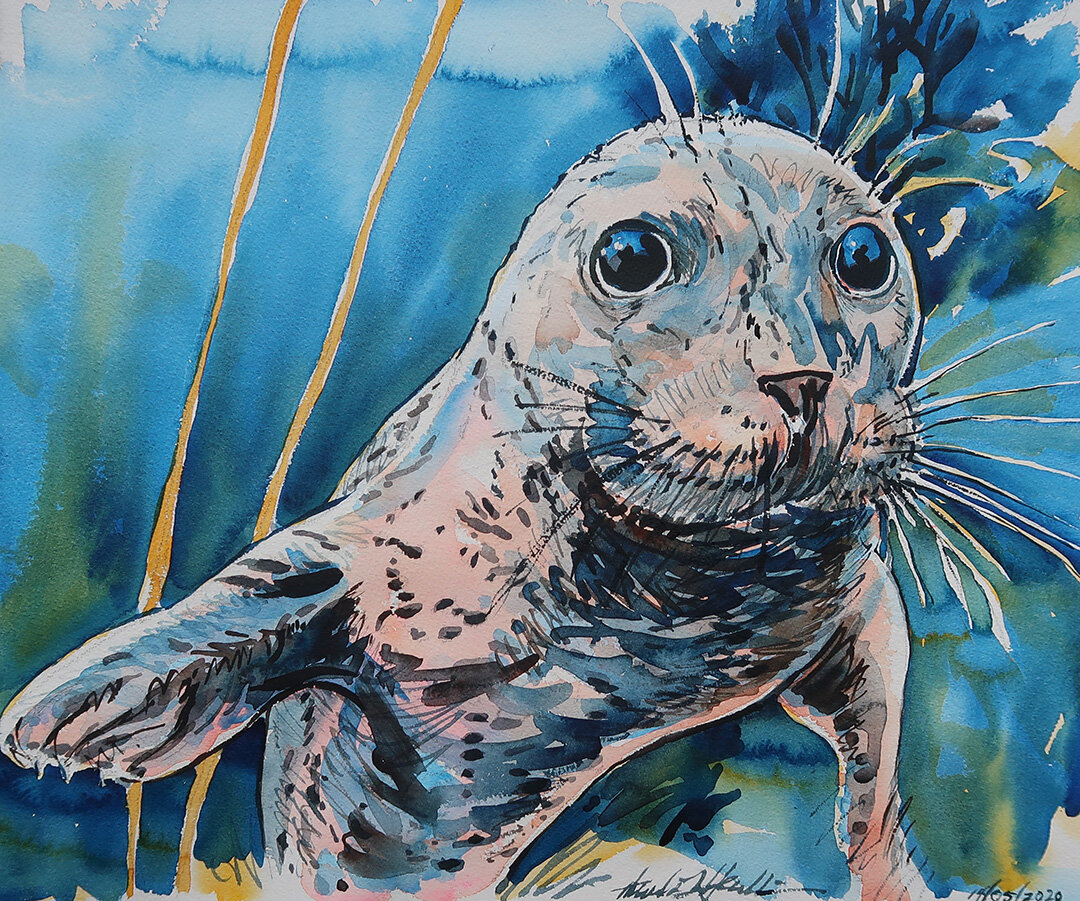 Point Lobos Harbor Seal © 2021 Theodore Heublein. All Rights Reserved.