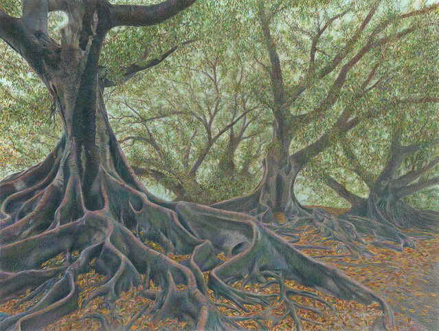 Ancient Giants, Colored Pencil © 2021 Caryn Coville. All Rights Reserved.