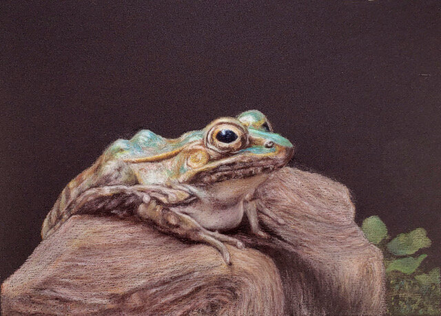 Waiting, Colored Pencil © 2021 Caryn Coville. All Rights Reserved.