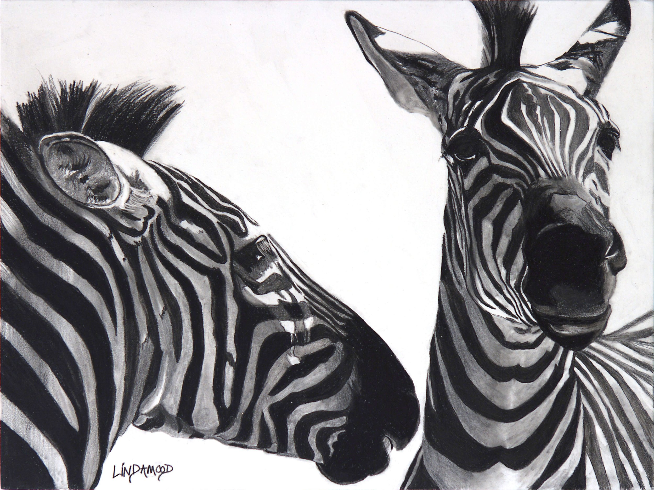 Zebra Confidences © 2021 Patsy Lindamood. All Rights Reserved.