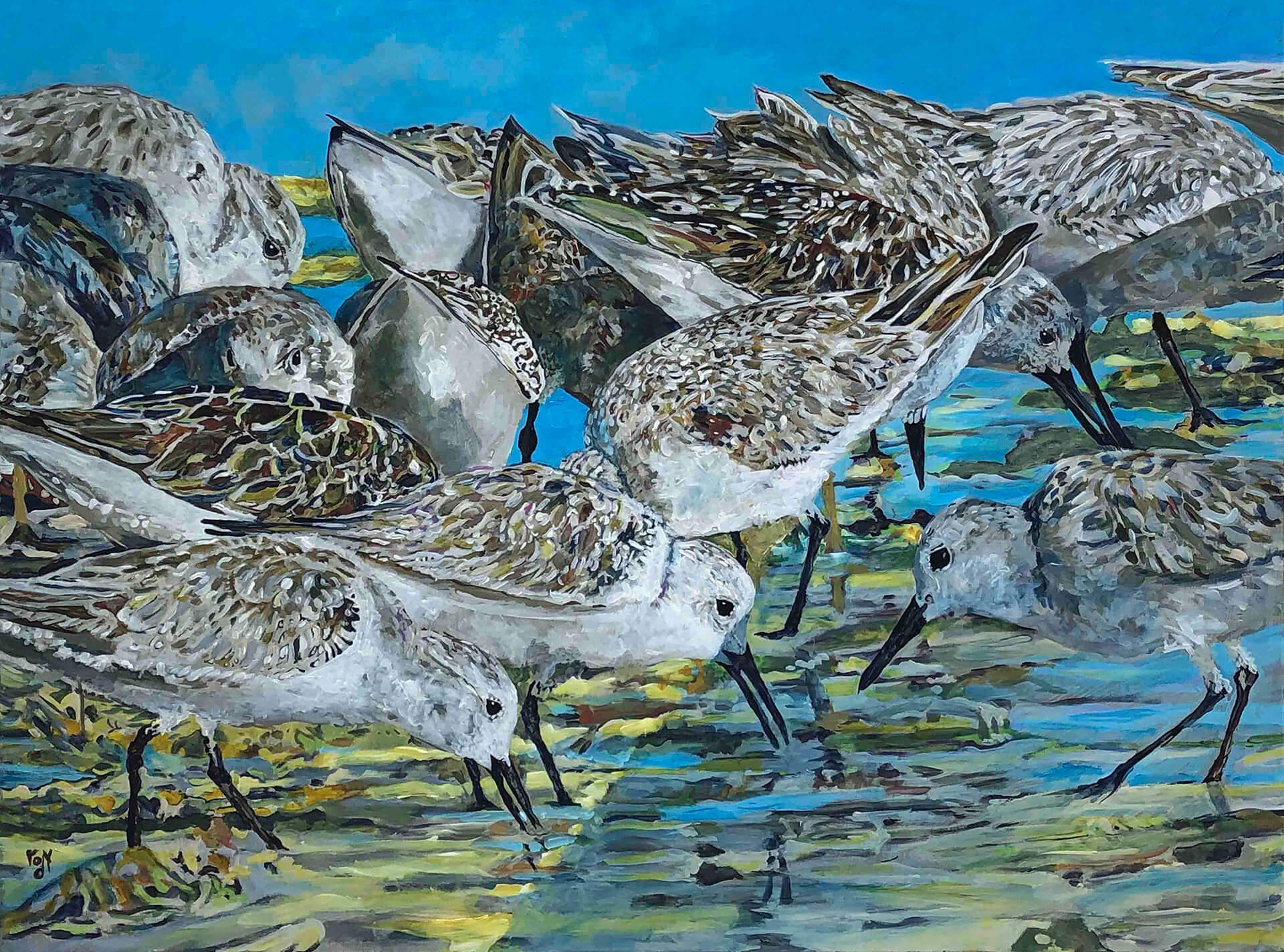 Keiths Sanderlings © 2022 Kim Rody. All Rights Reserved.