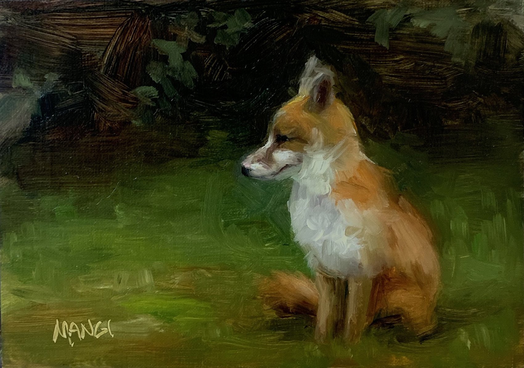 Foxy Encounter © 2022 Johanne Mangi. All Rights Reserved.