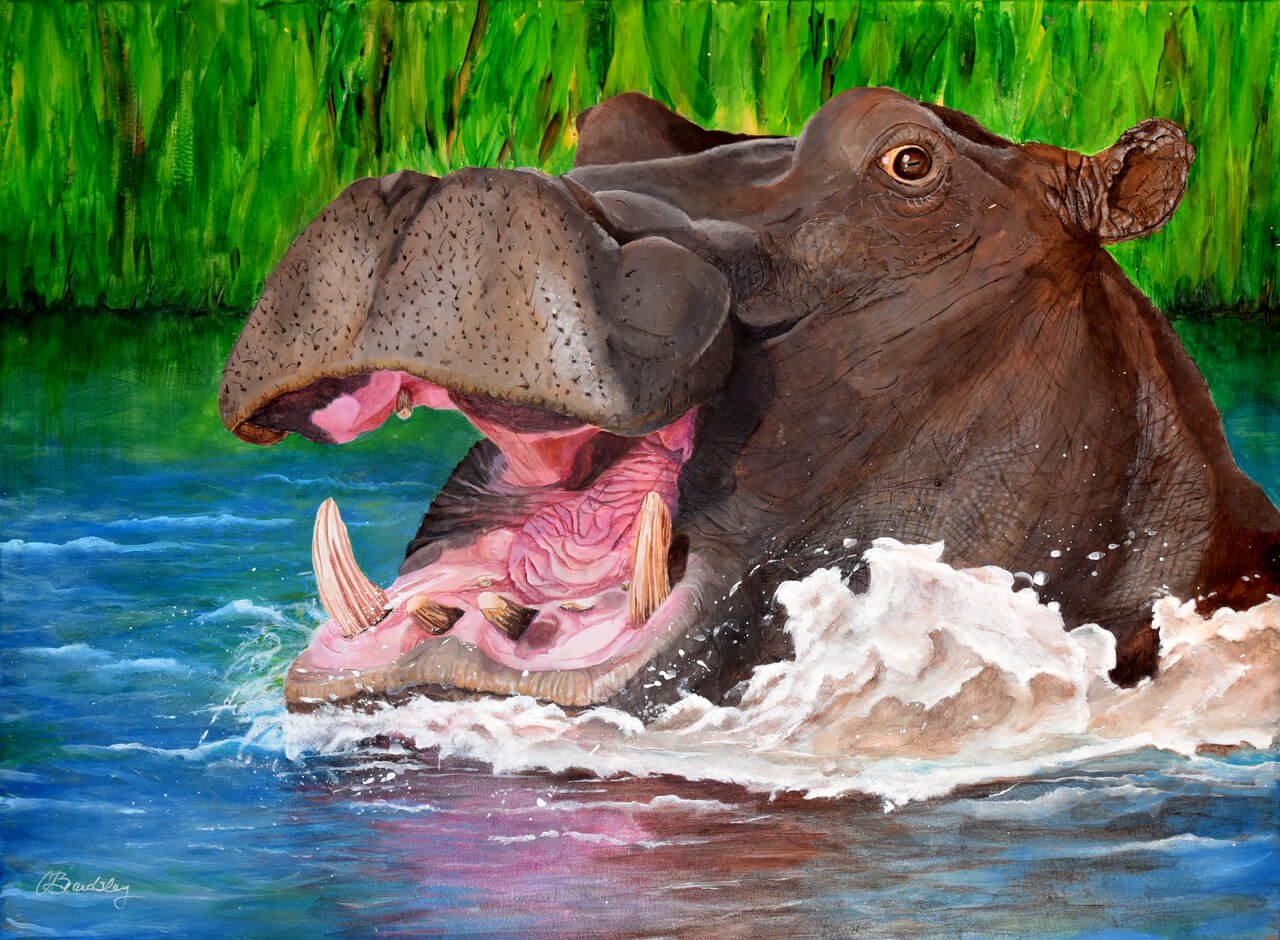 Happy Hippo © 2022 Cyndy Beardsley. All Rights Reserved.